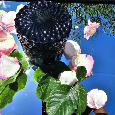 NEW 7oz Vanilla Rose Candle